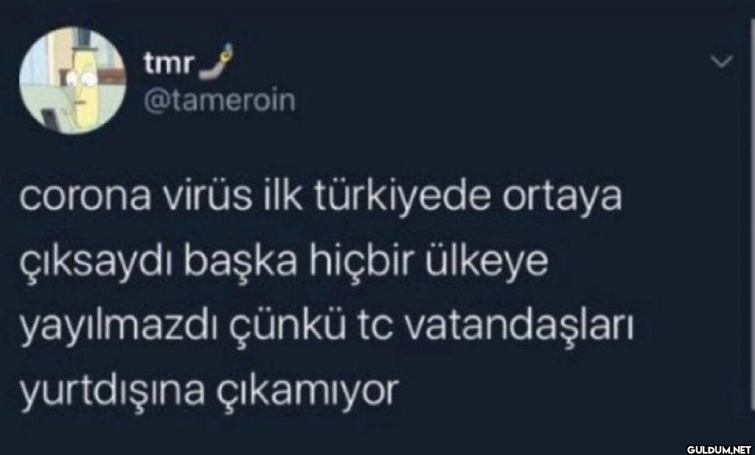 corona virüs ilk türkiyede...