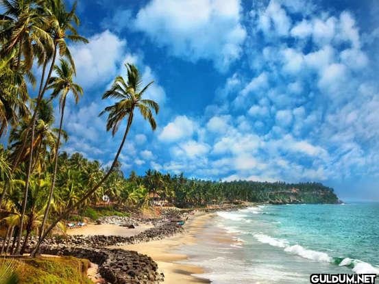 4. Varkala Beach, Kerala