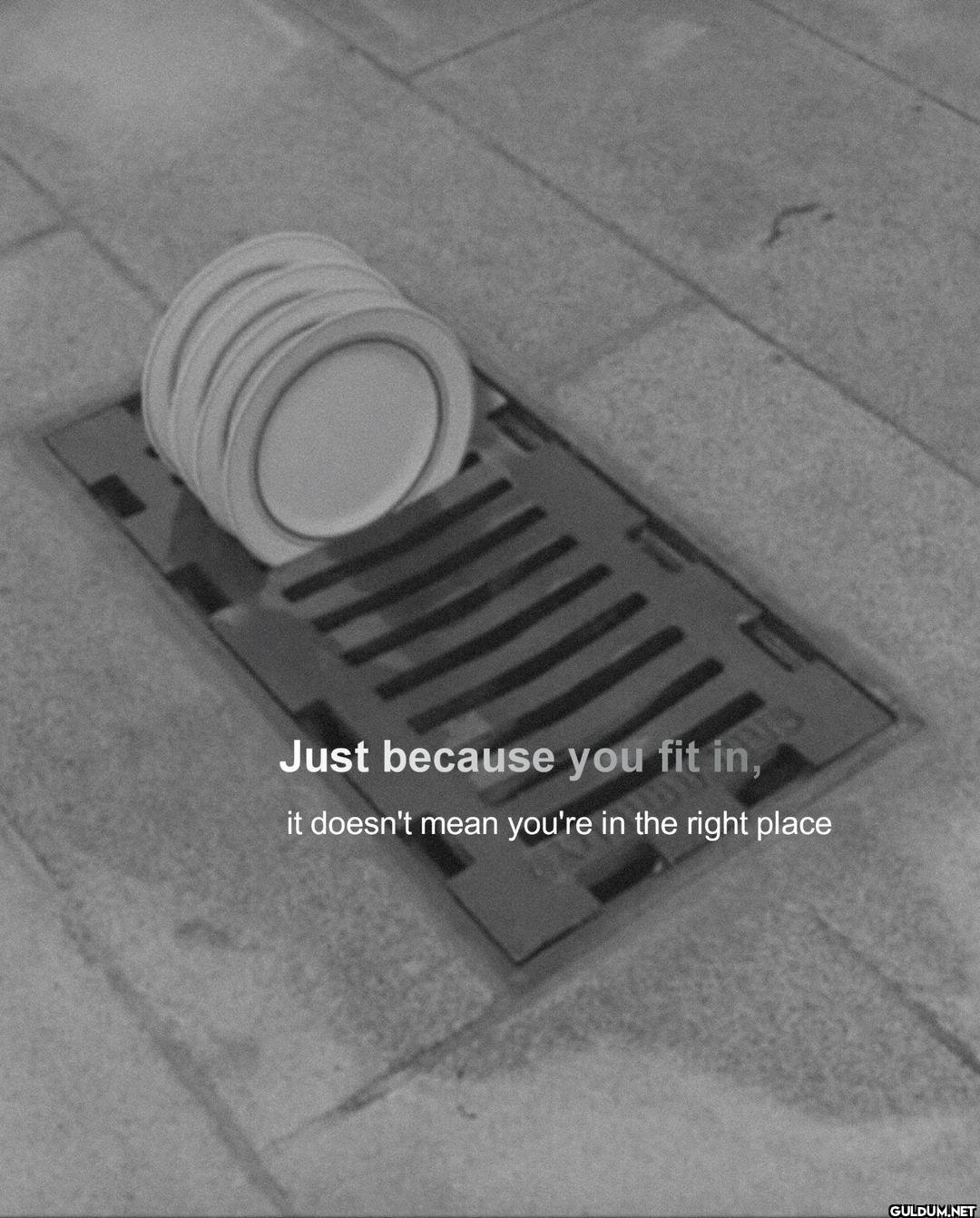 2.    Just because you fit...
