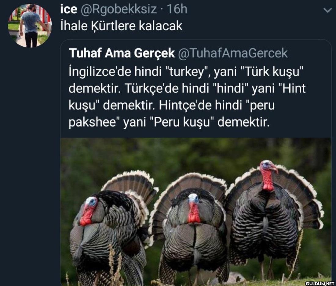 16h İhale Kürtlere kalacak...