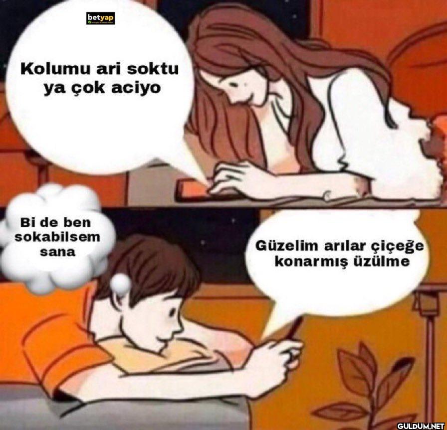 betyap Kolumu ari soktu ya...