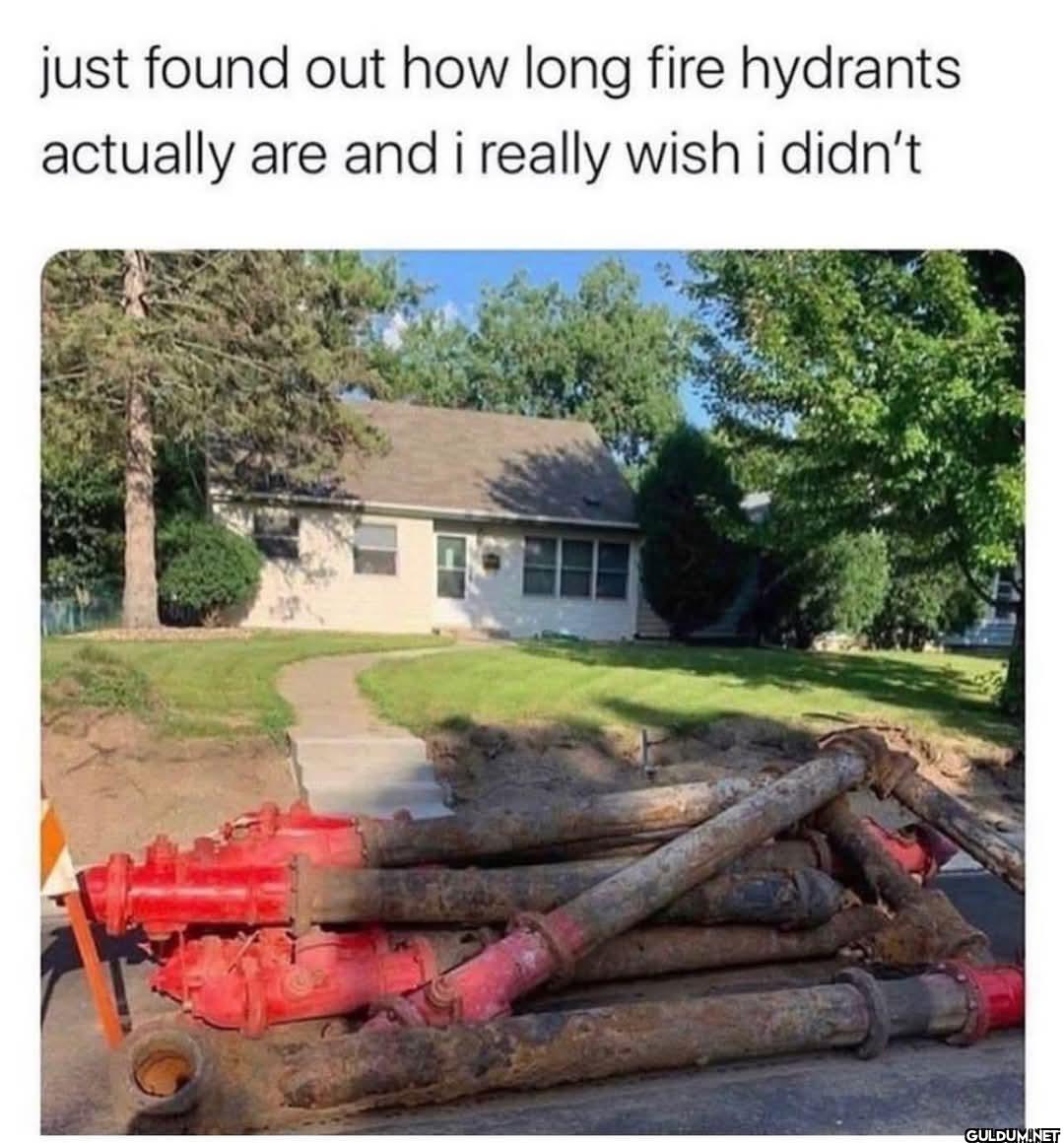 I can't believe it    just...