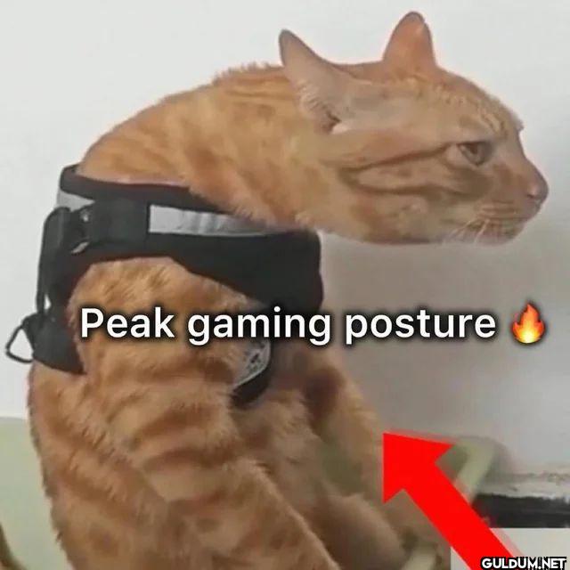 Peak gaming posture