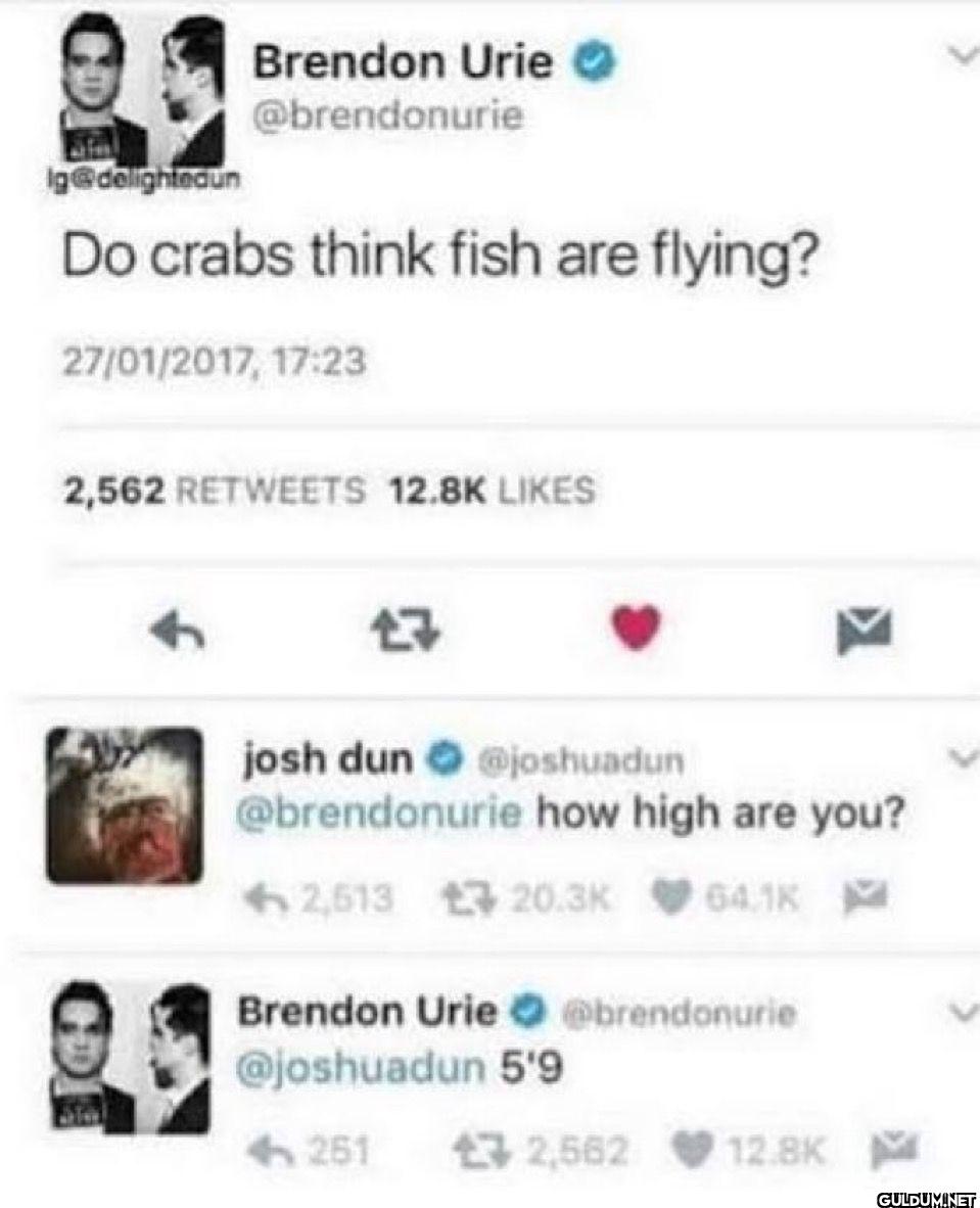 lg@delighte_un Do crabs...