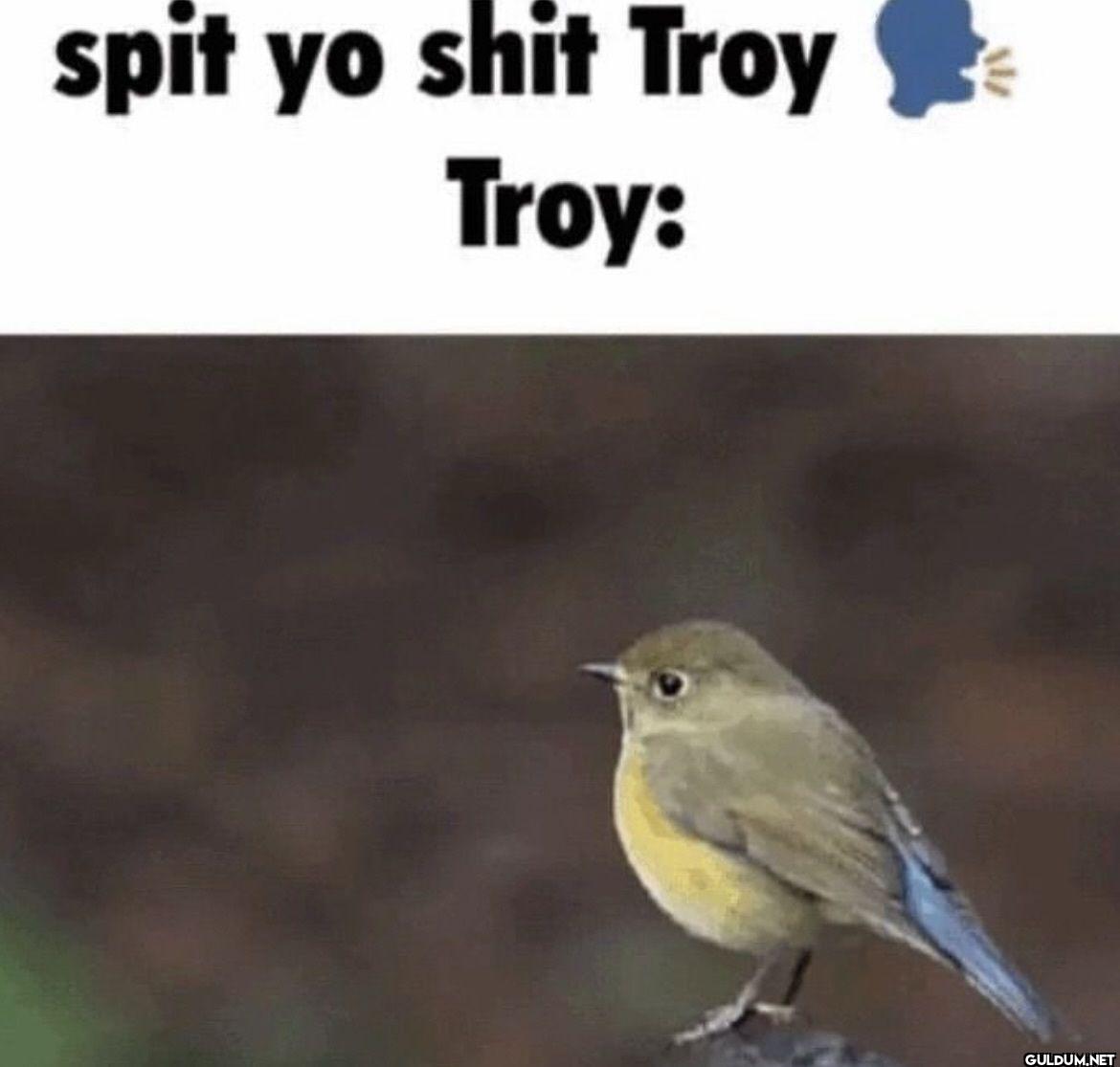 spit yo shit Troy Troy