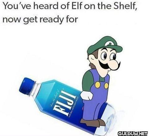 You've heard of Elf on the...