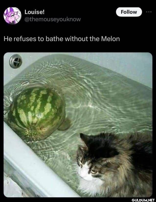 He refuses to bathe...
