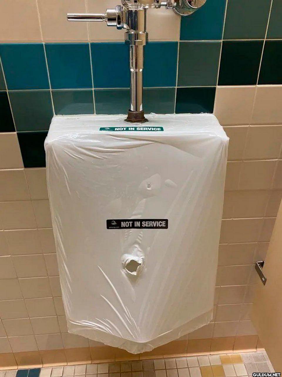 NOT IN SERVICE 2 NOT IN SERVICE