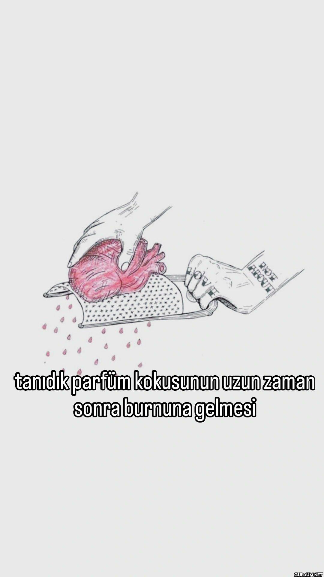 HOM ABOUT tanıdık parfüm...