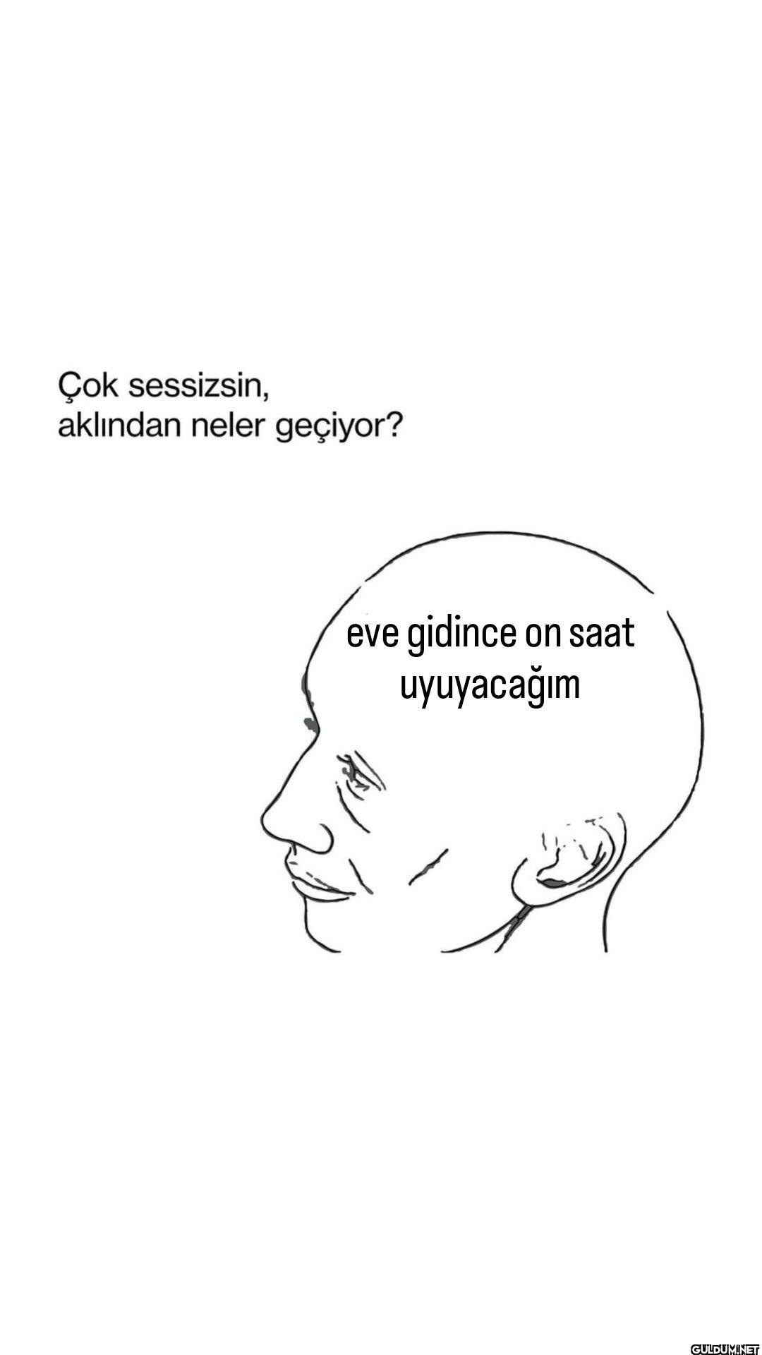 Çok sessizsin, aklından...