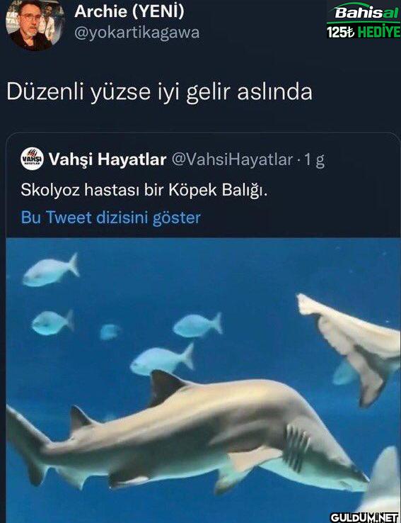 Düzenli yüzse iyi gelir...