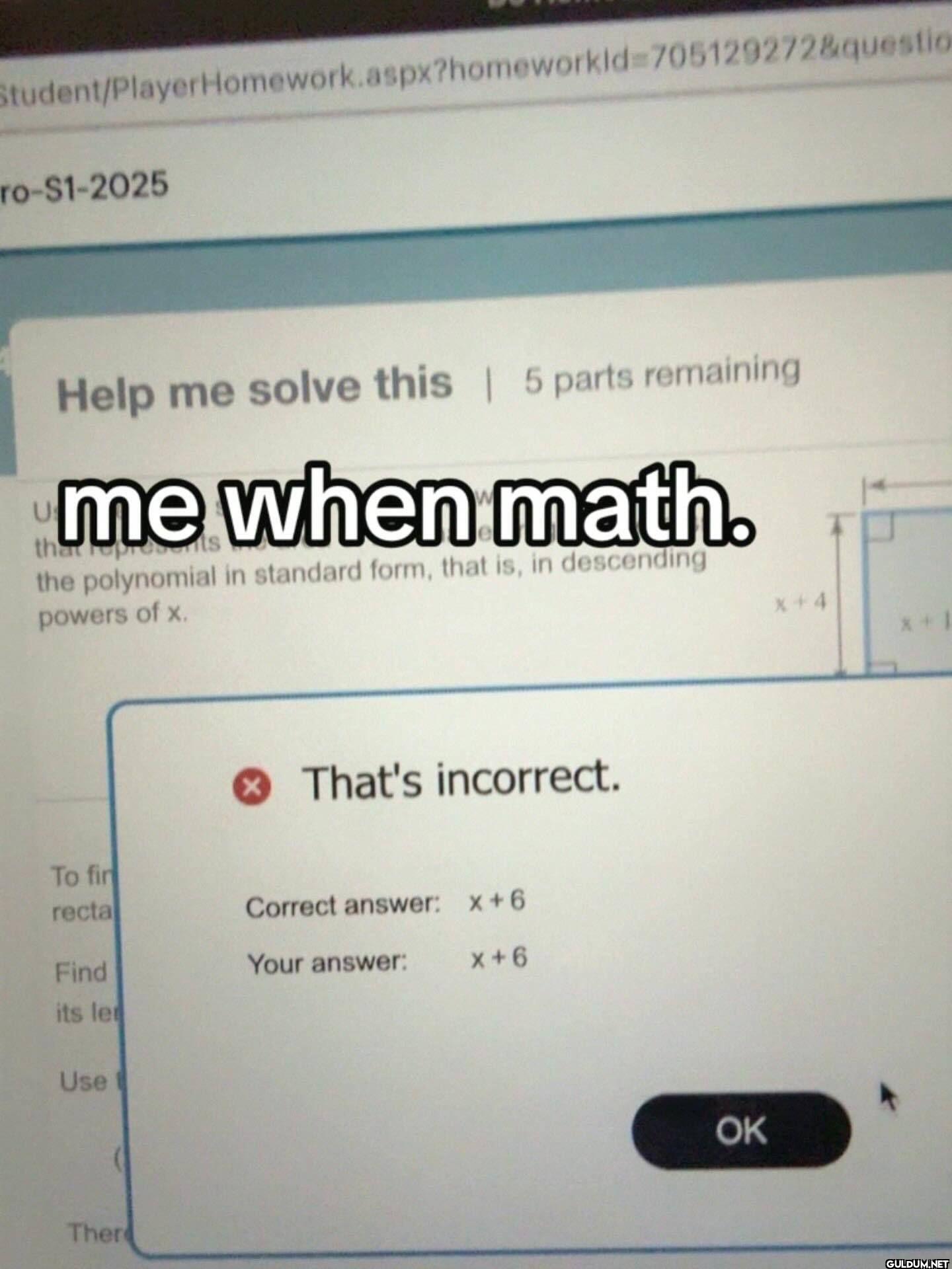 Student...