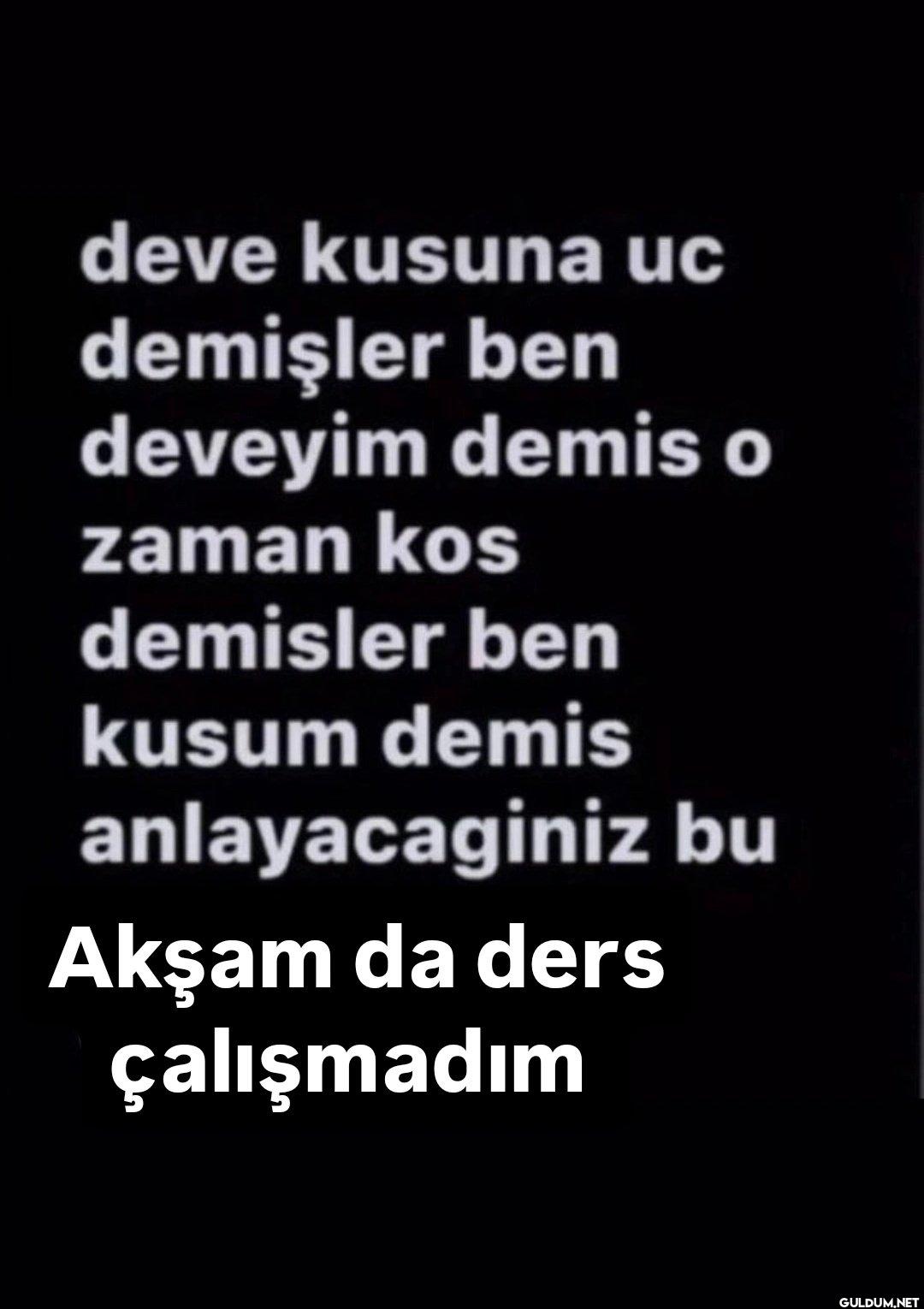 deve kusuna uc demişler...