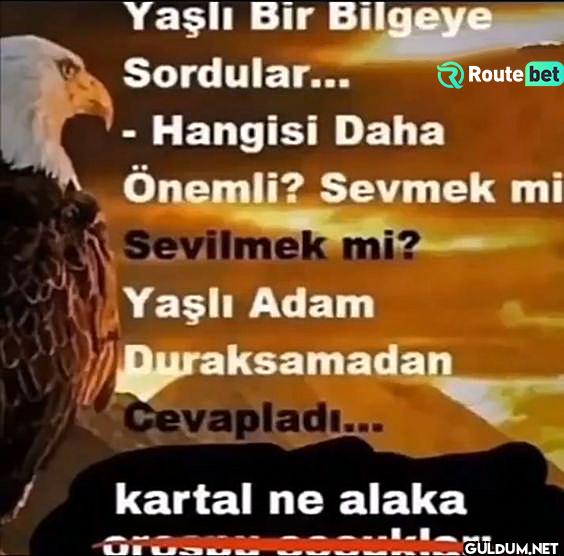 Yaşlı Bir Bilgeye...