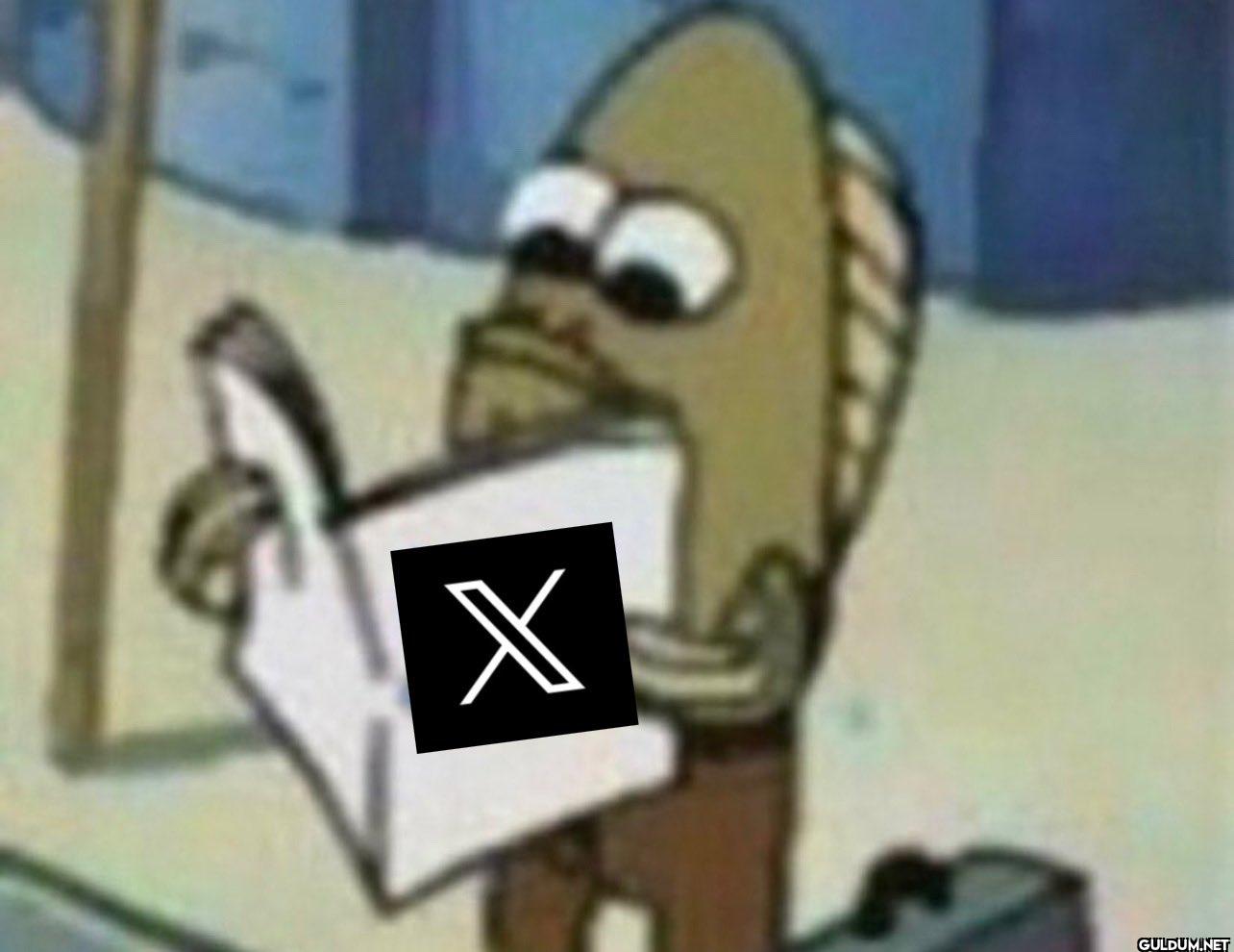 Me opening twitter in the...