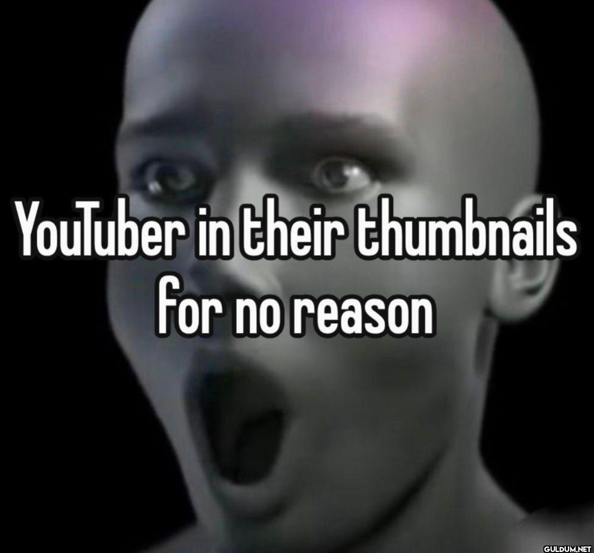 YouTuber in their...