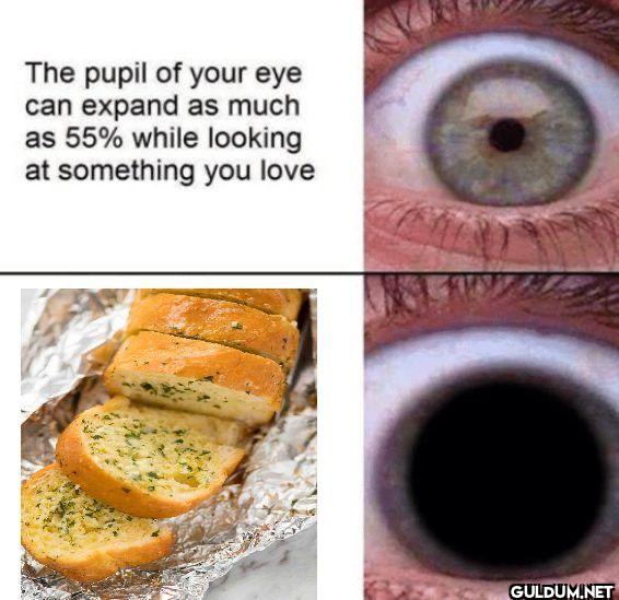 ︎ ︎ ︎ ︎    The pupil of...