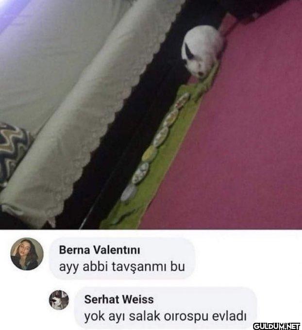 Berna Valentini ayy abbi...