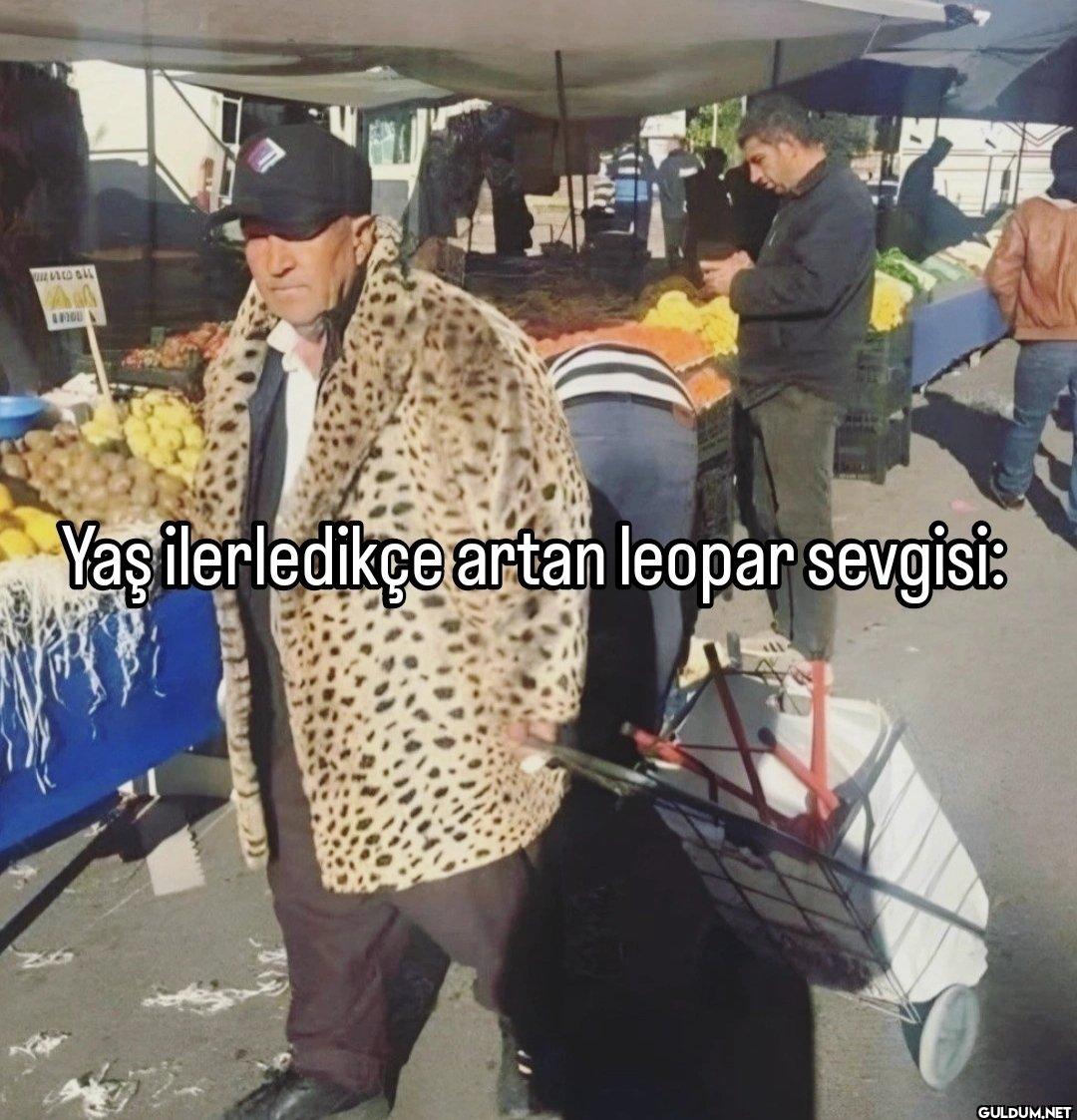 W A P100 Yaş ilerledikçe...