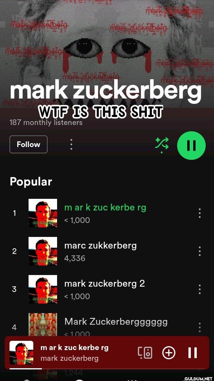 mark zuckerberg WIF IS...
