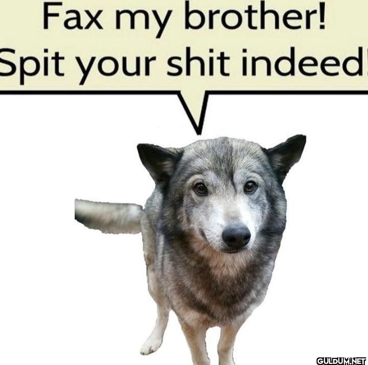 Fax my brother! Spit your...