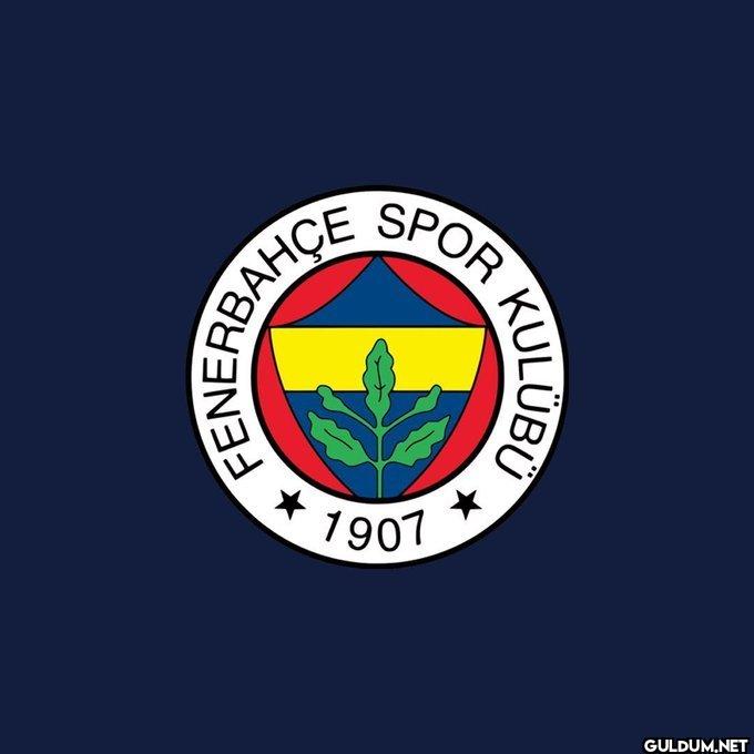 Fenerbahçe'nin yeni teknik...