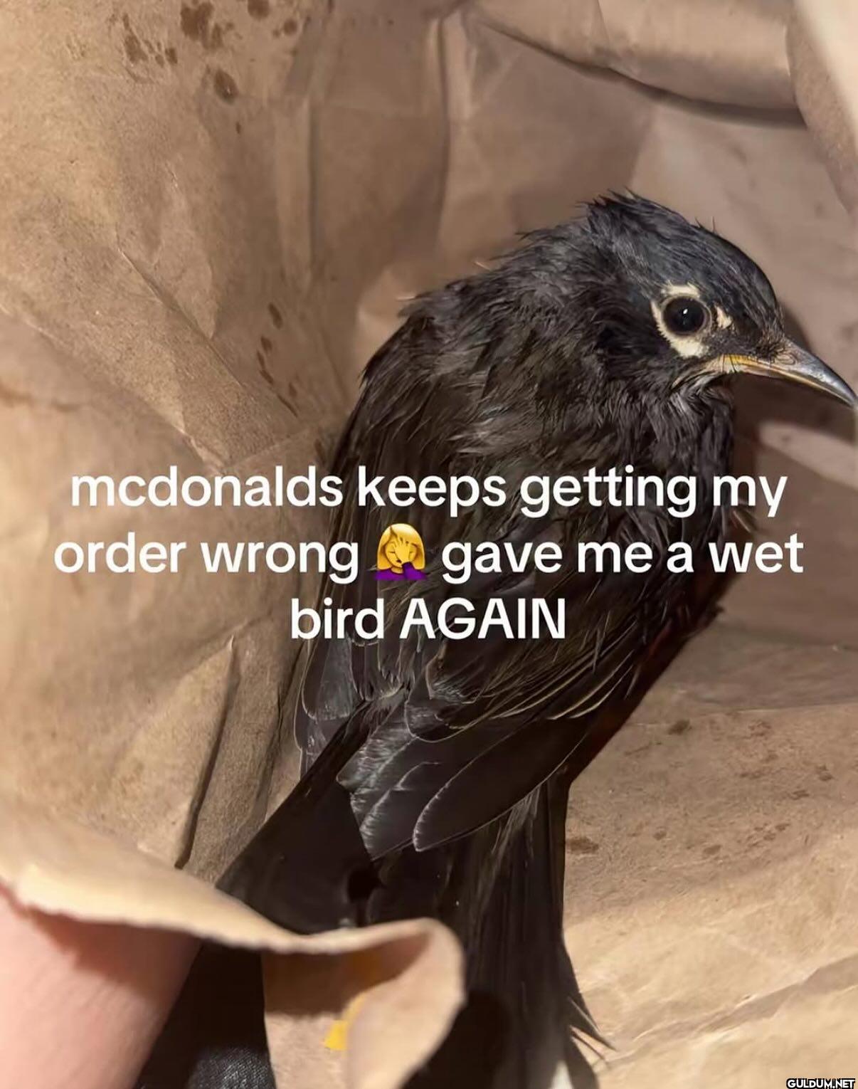 mcdonalds keeps getting my...