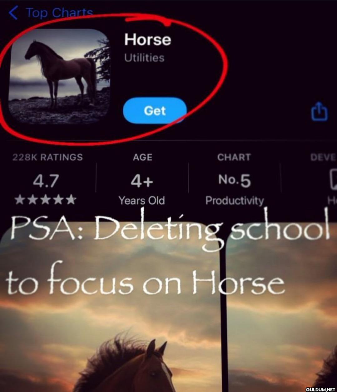 <Top Charts Horse...