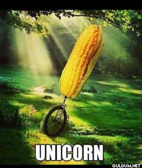 UNICORN