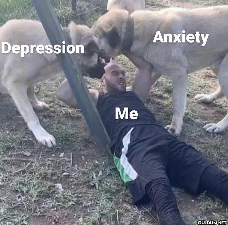 Depression Me Anxiety