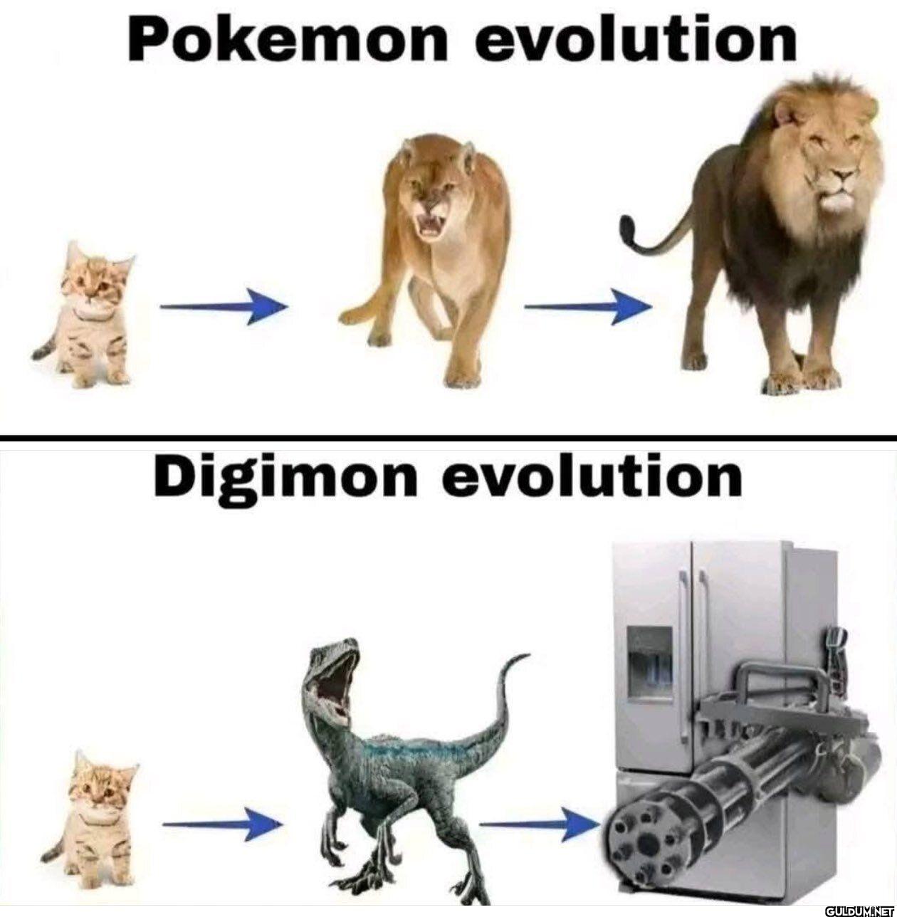 Pokemon evolution Digimon evolution