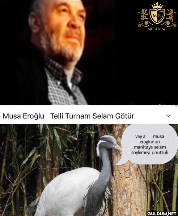 Musa Eroğlu Telli Turnam...