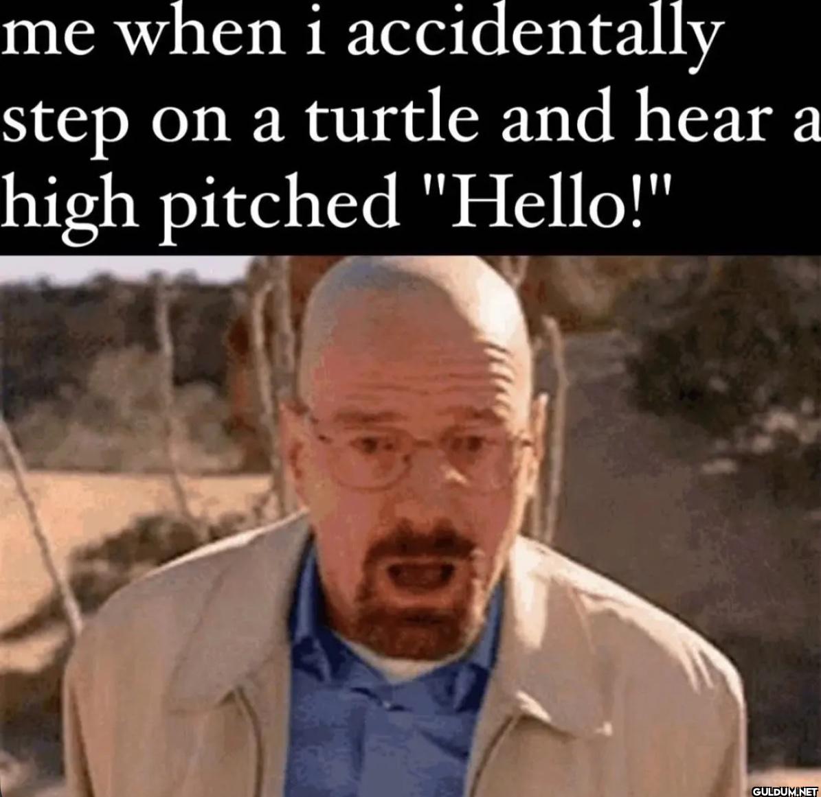 me when i accidentally...