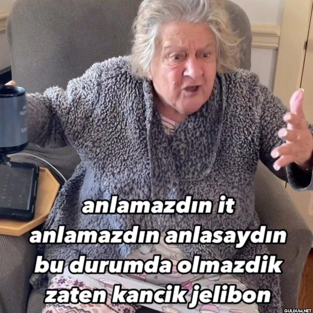 anlamazdın it anlamazdın...
