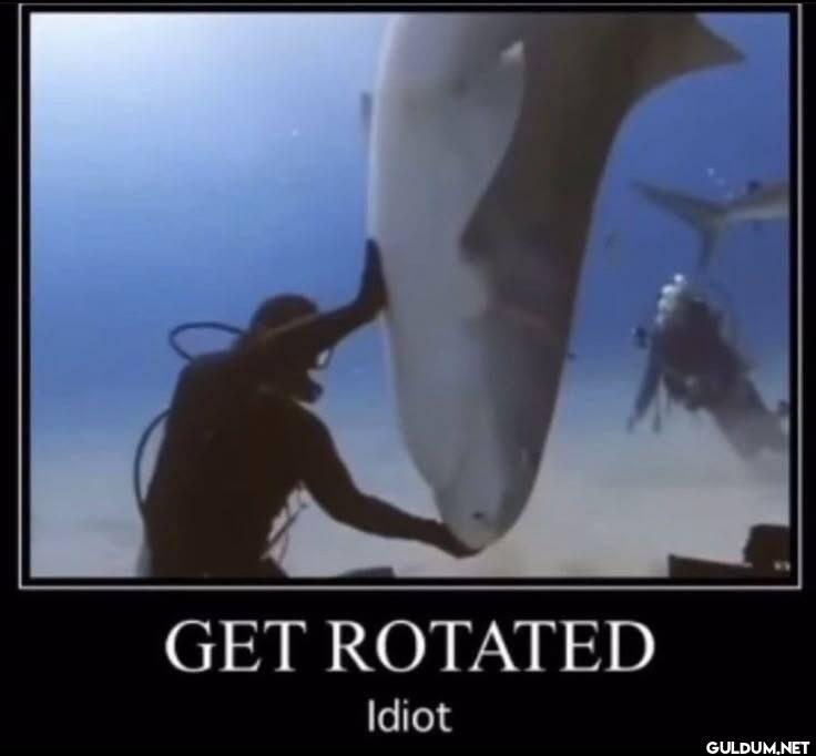GET ROTATED Idiot