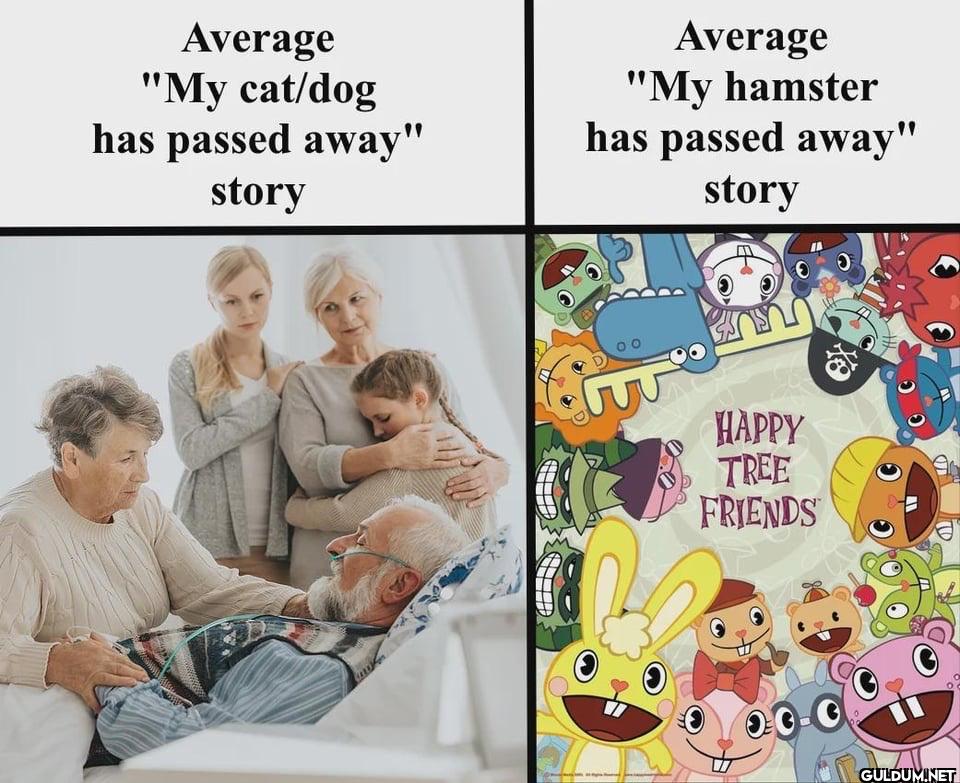 Average "My cat/dog has...