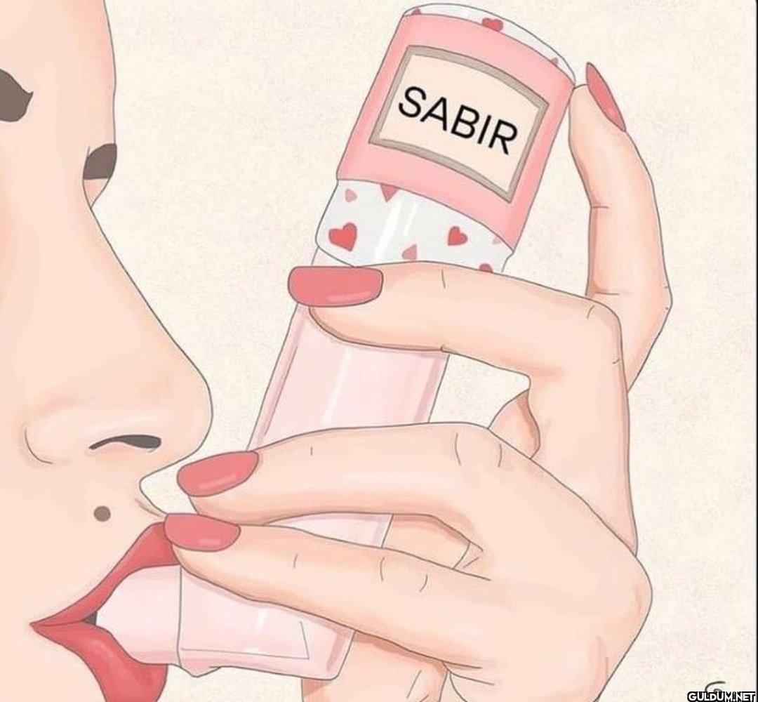 SABIR و
