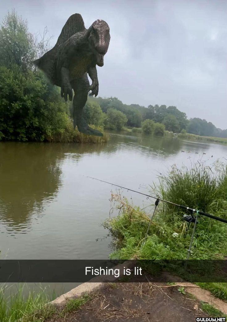 Fishing is lit
