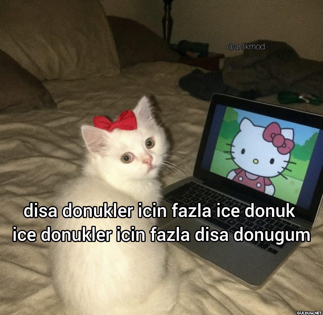 disa donukler icin fazla...