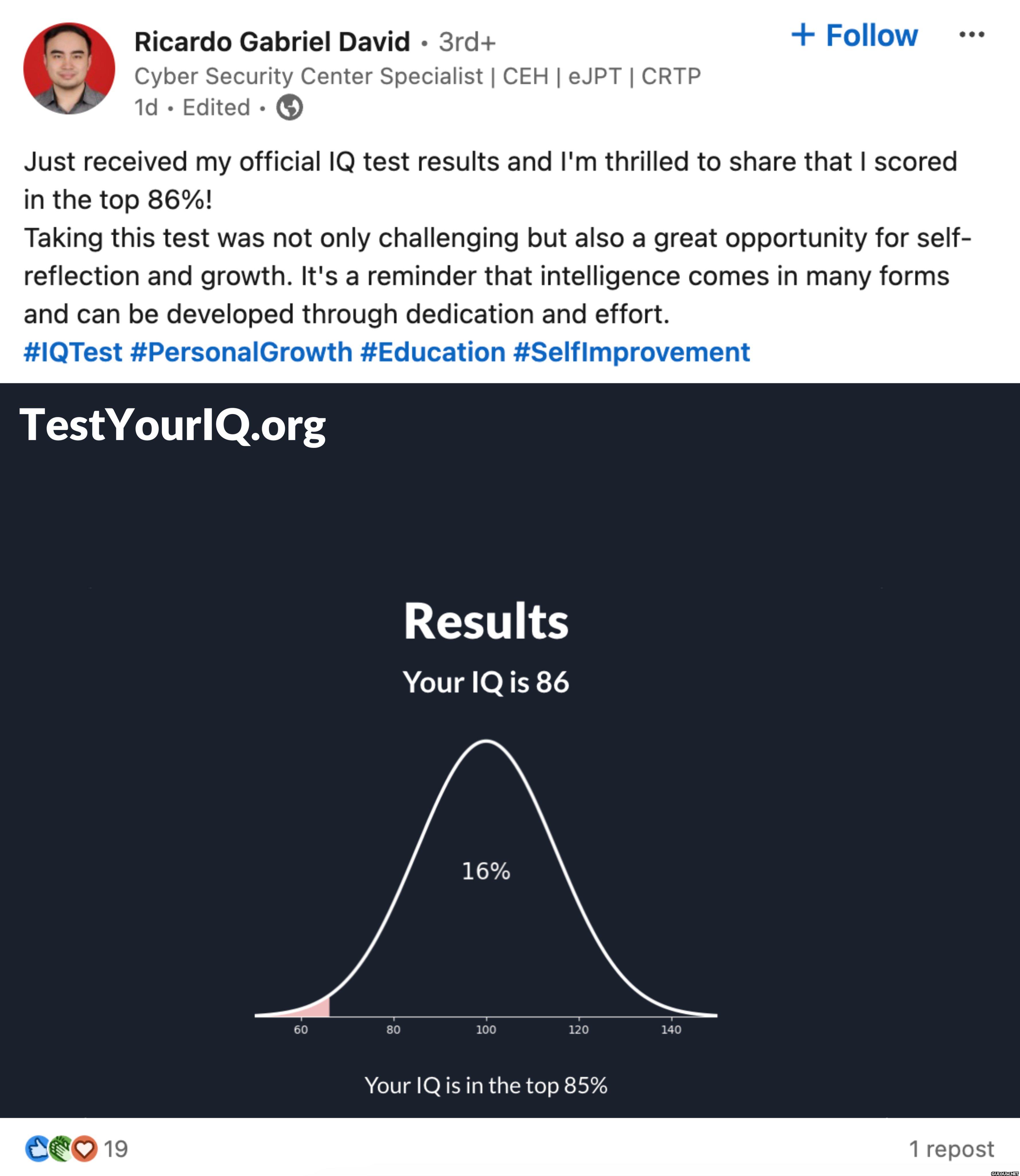 Ricardo Gabriel David 3rd+ Cyber Security Center Specialist | CEH ...
