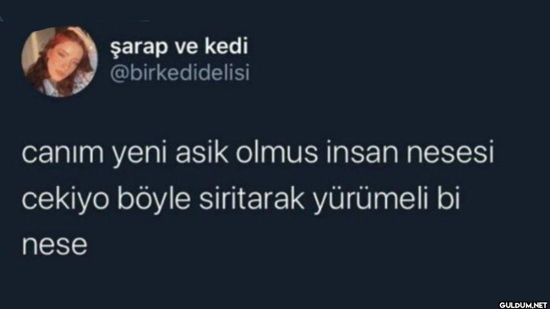 canım yeni asik olmus...