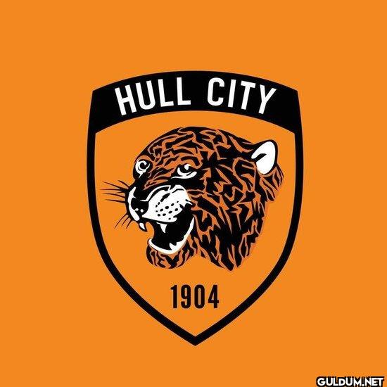 Hull City takımının...
