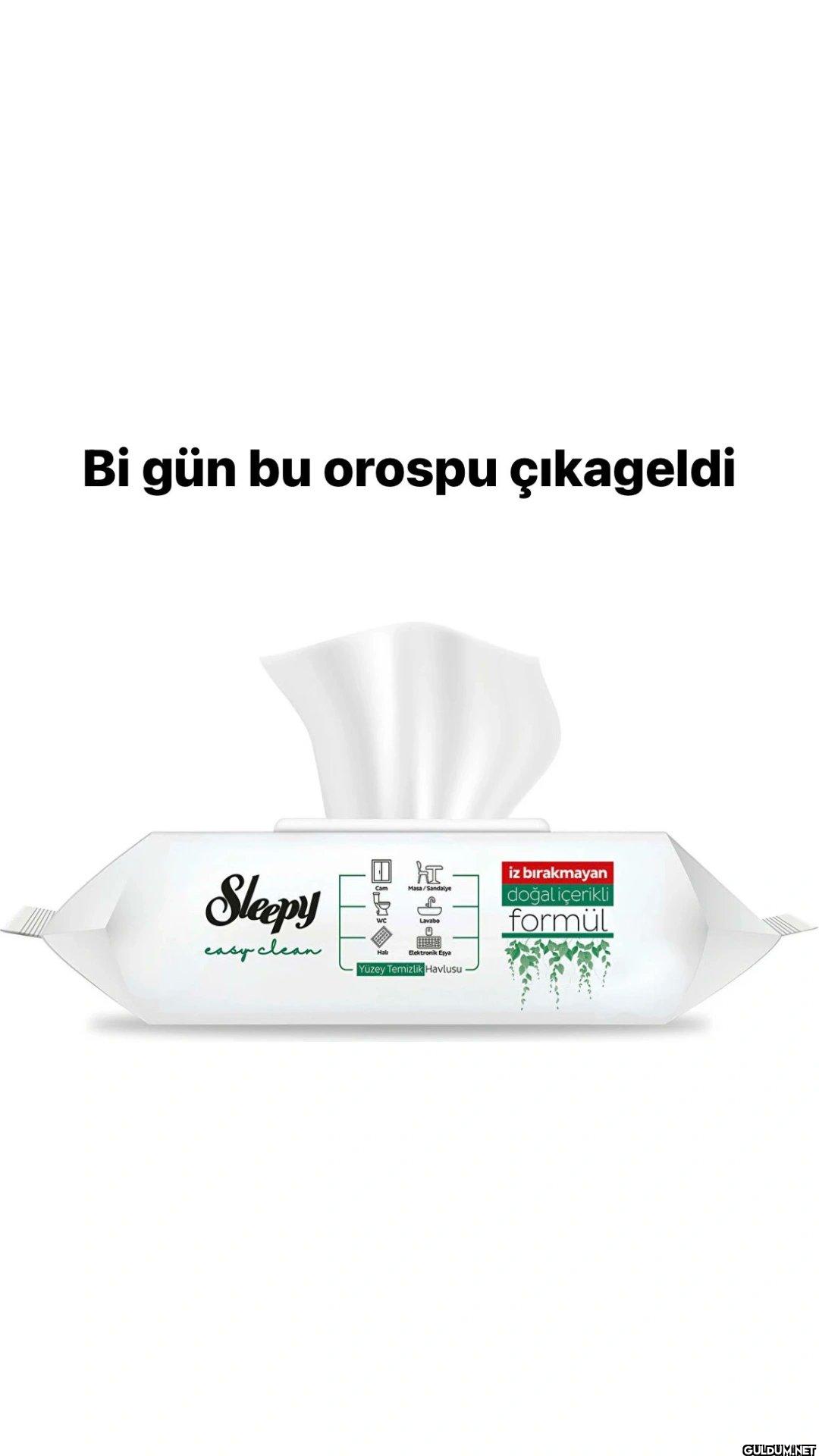 Bi gün bu orospu çıkageldi...