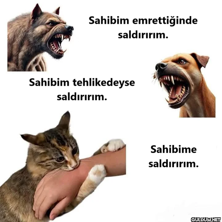 Sahibim emrettiğinde...