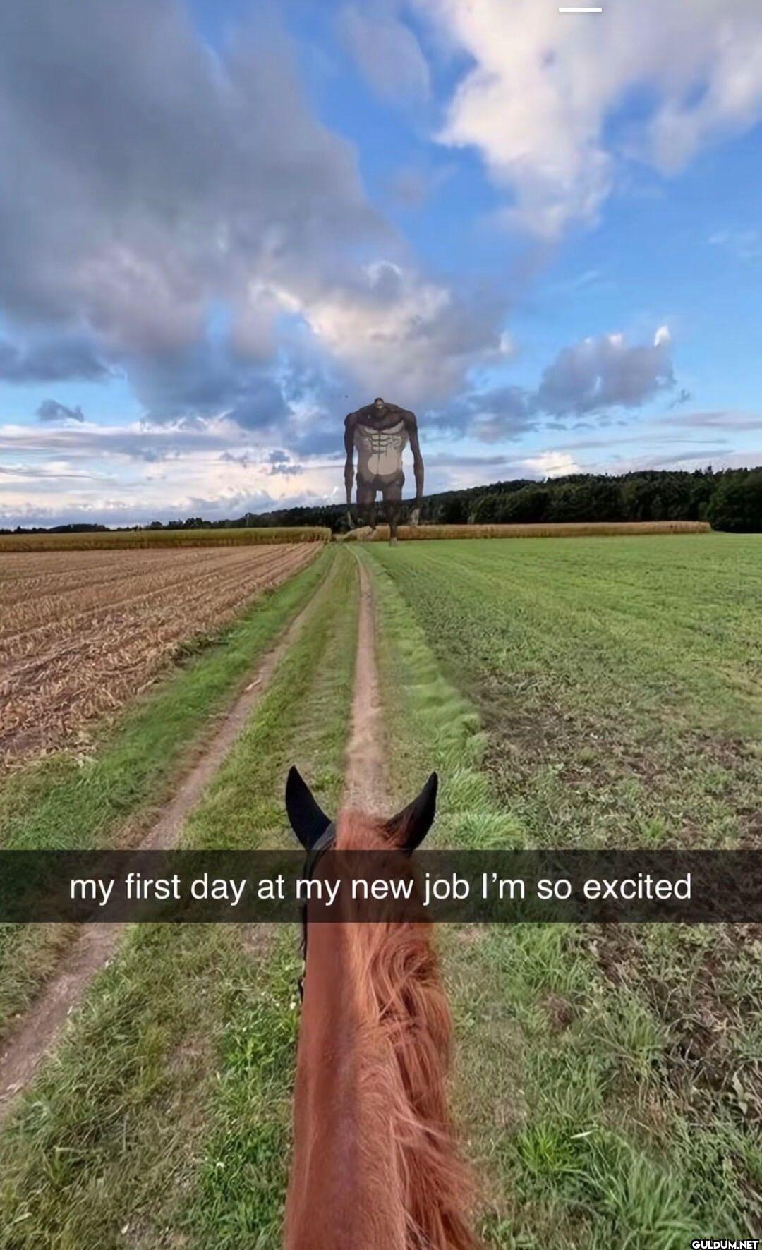 my first day at my new job...