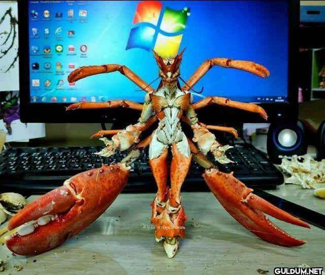 ︎ ︎ ︎ ︎ ︎ ︎ ︎