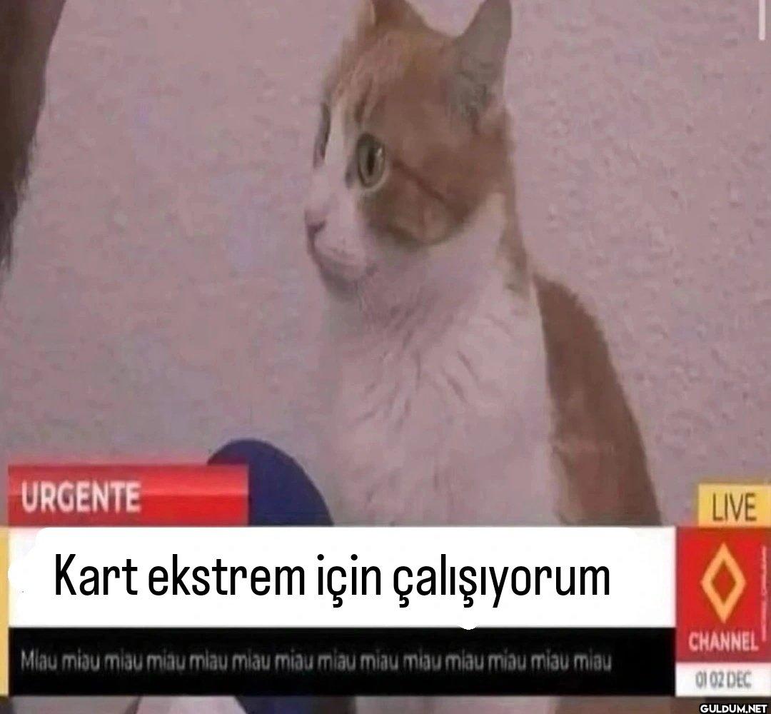 URGENTE Kart ekstrem için...