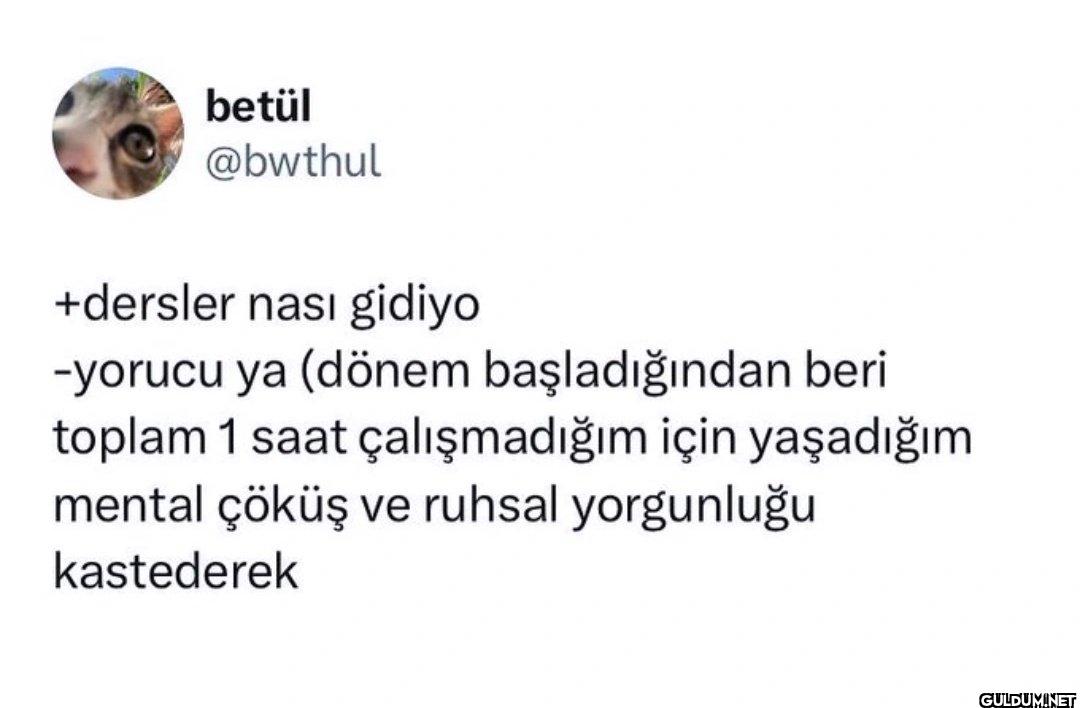 +dersler nası gidiyo...
