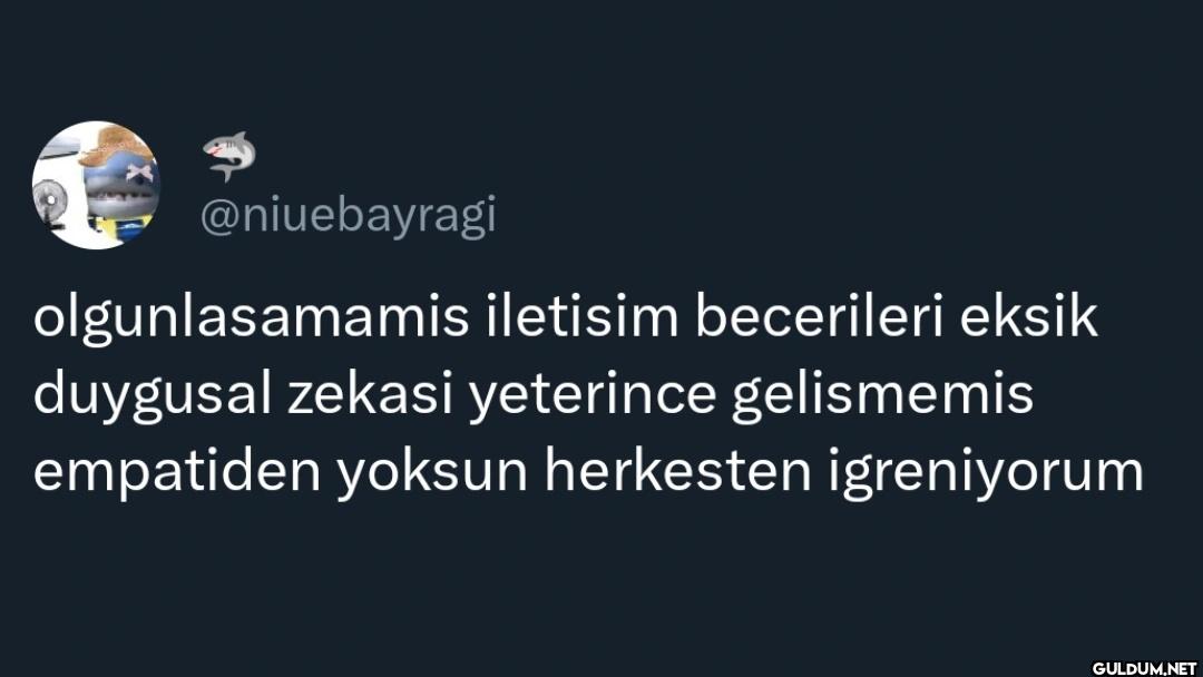 olgunlasamamis iletisim...