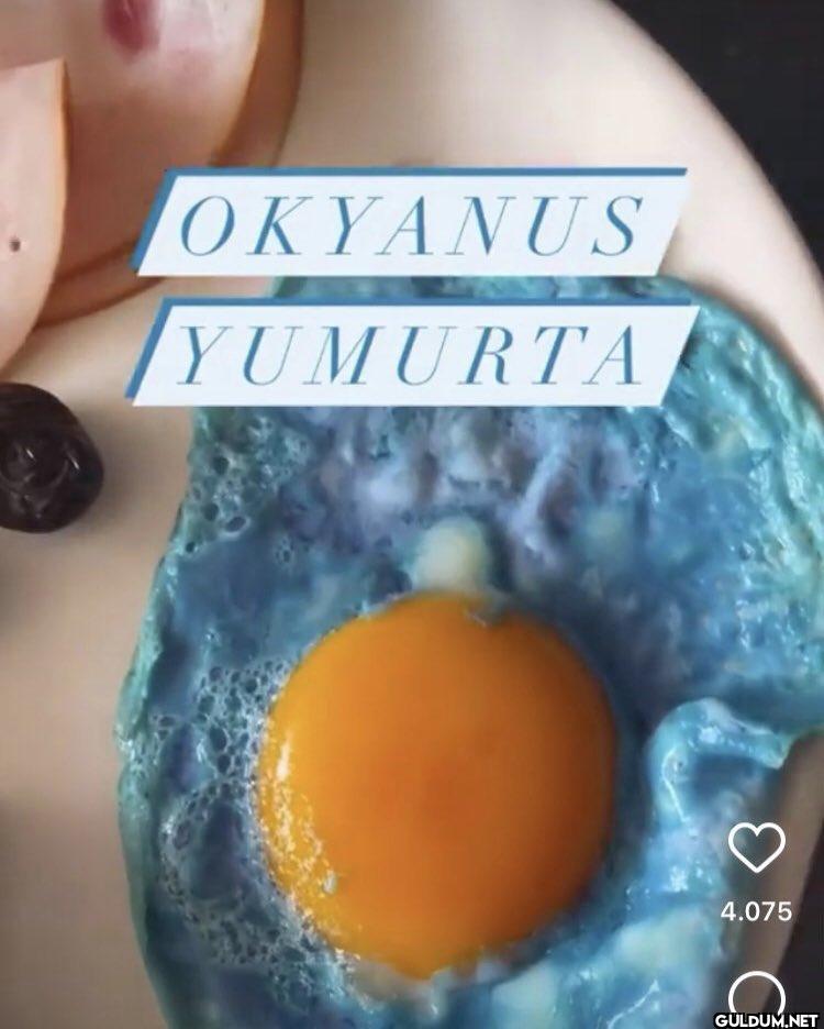 OKYANUS YUMURTA 4.075 a
